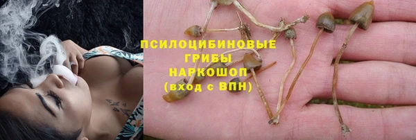 марки lsd Заводоуковск