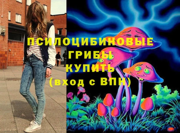 марки lsd Заводоуковск