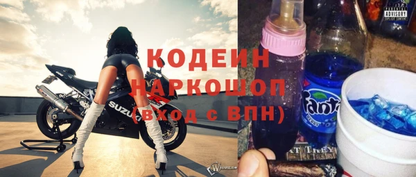 шишки Заволжск