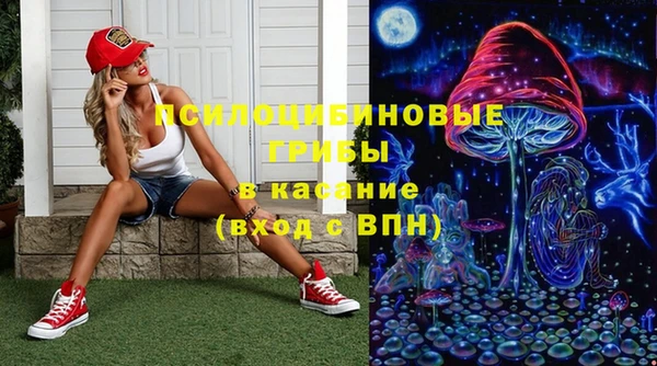 марки lsd Заводоуковск