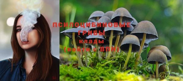 шишки Заволжск