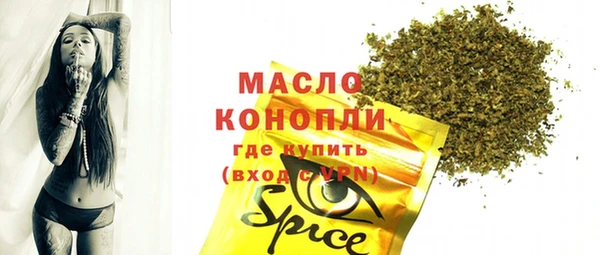 шишки Заволжск