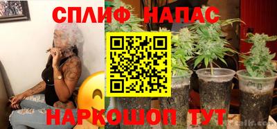 соль ск Ипатово