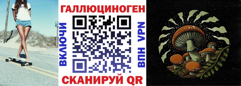 Псилоцибиновые грибы Psilocybine cubensis  Северобайкальск 