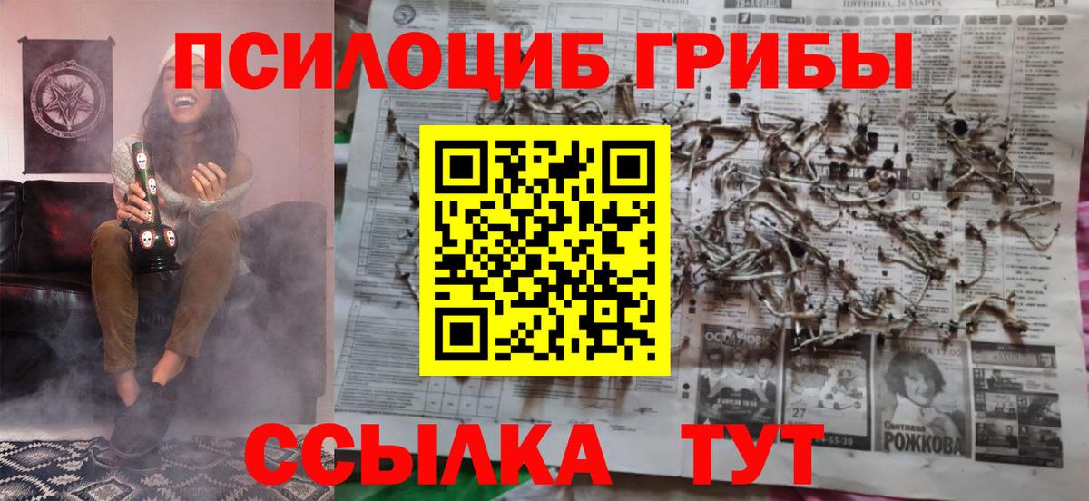 Псилоцибиновые грибы MAGIC MUSHROOMS  Вход с VPN  Северобайкальск 