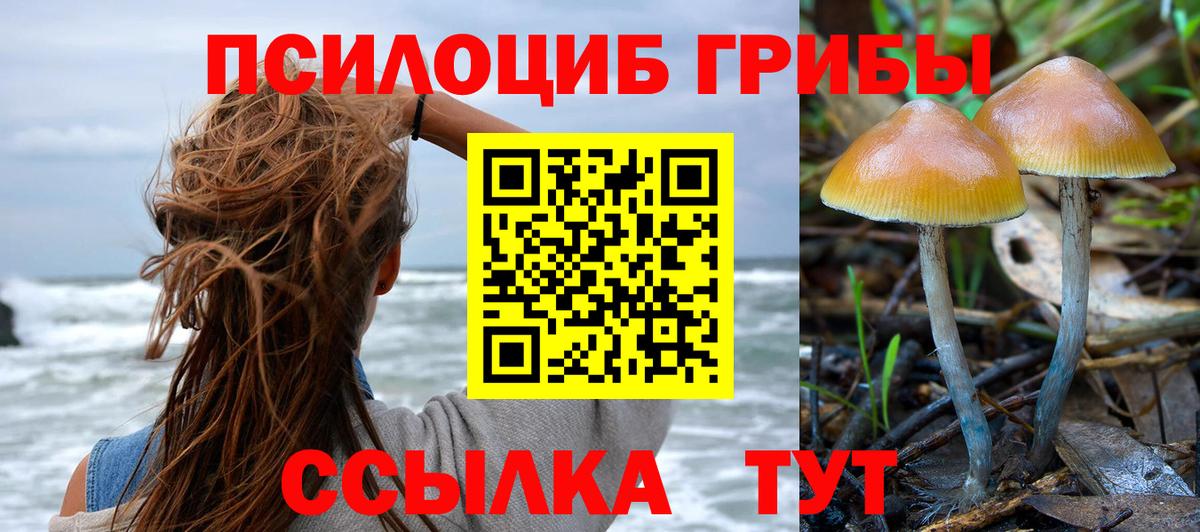 Галлюциногенные грибы Cubensis Северобайкальск