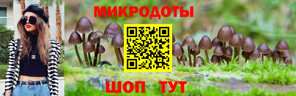 Галлюциногенные грибы прущие грибы Северобайкальск